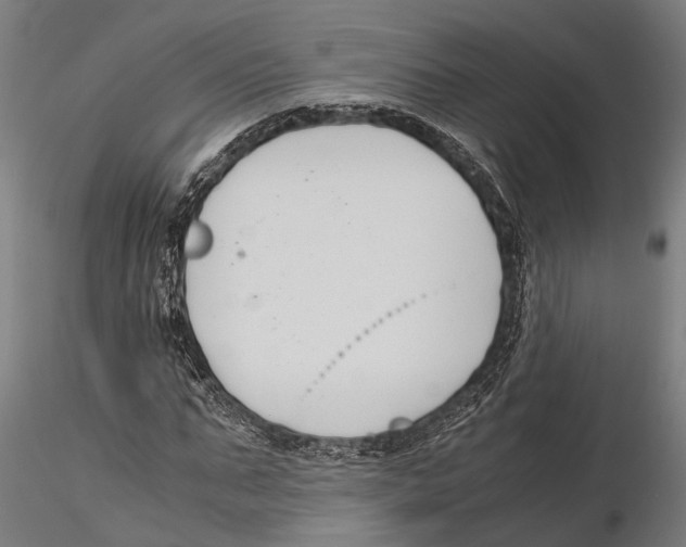 X0000115720871200912101426