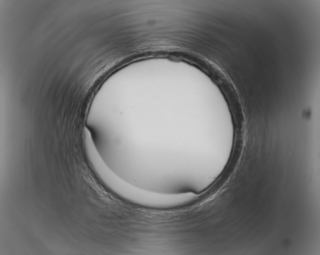 X0000115720873200912101426