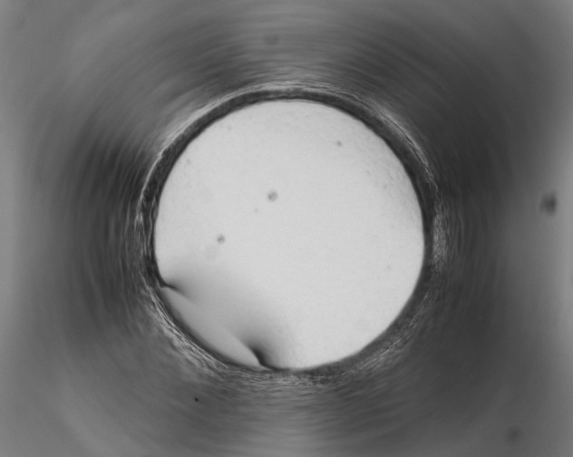 X0000115720876200912101426