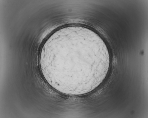 X0000115720877200912101426