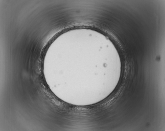 X0000115720878200912101426