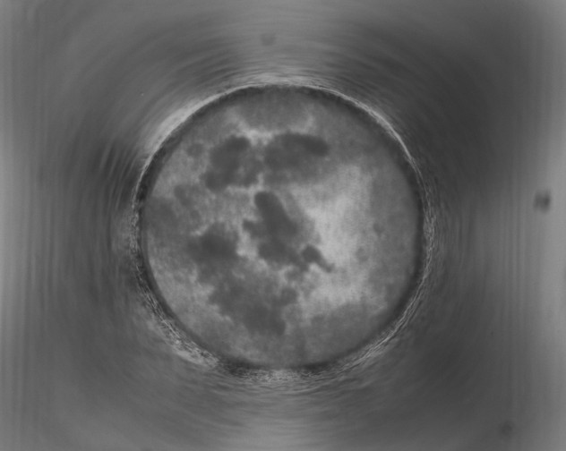 X0000115720879200912101426