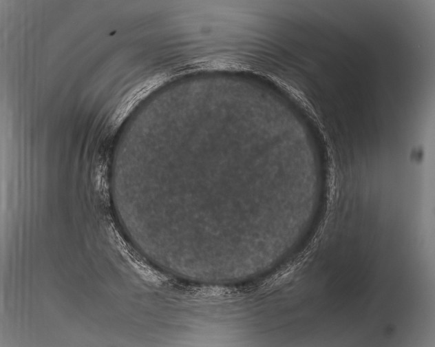 X0000115720881200912101426