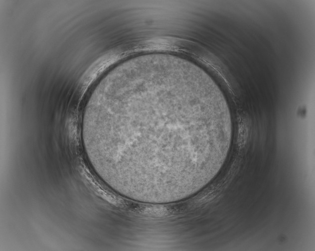X0000115720882200912101426