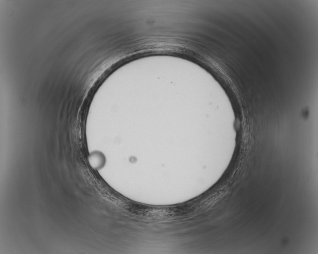 X0000115720883200912101426