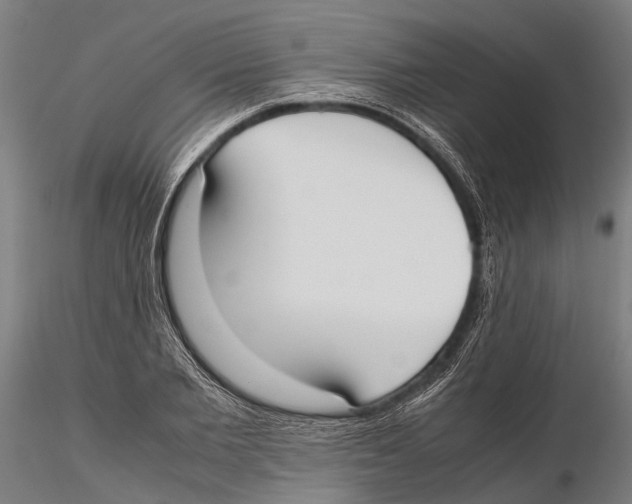 X0000115720885200912101426