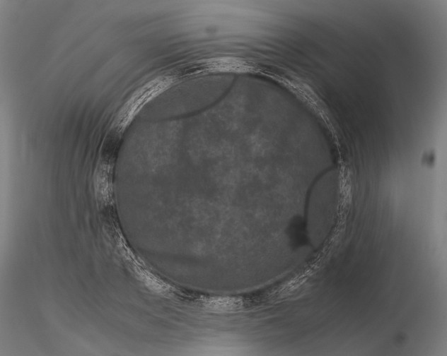 X0000115720889200912101426