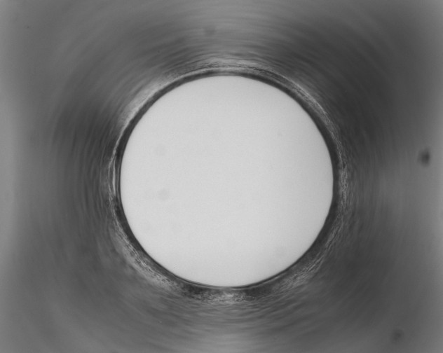 X0000115720891200912101426