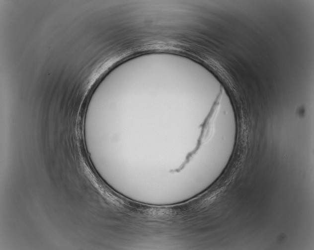 X0000115720893200912101426