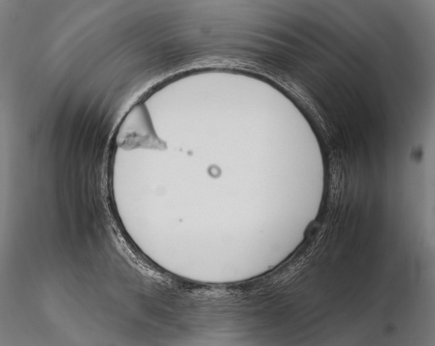 X0000115720896200912101426