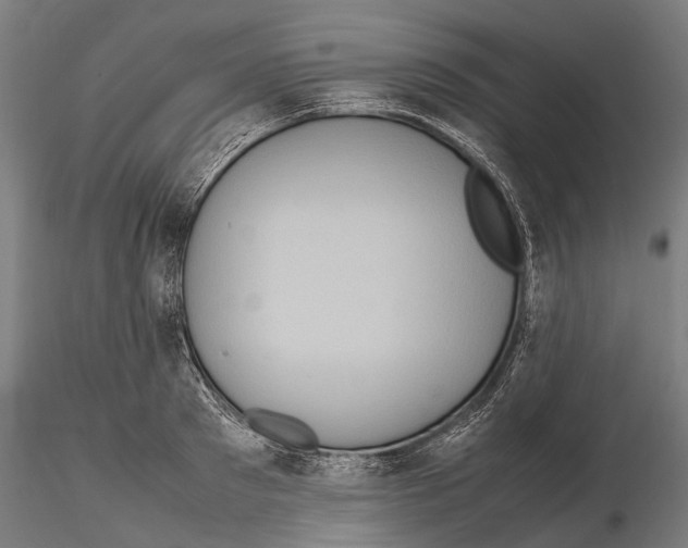 X0000115720897200912101426