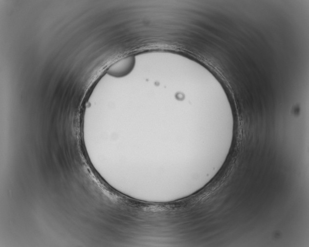 X0000115720898200912101426