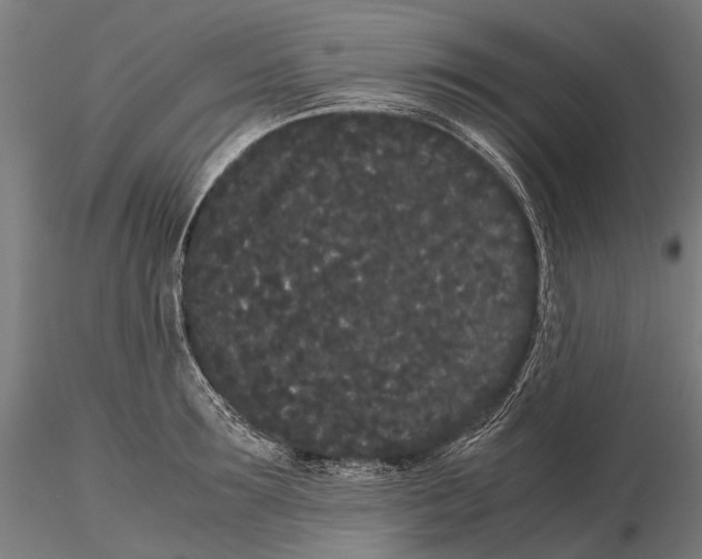 X0000115720899200912101426