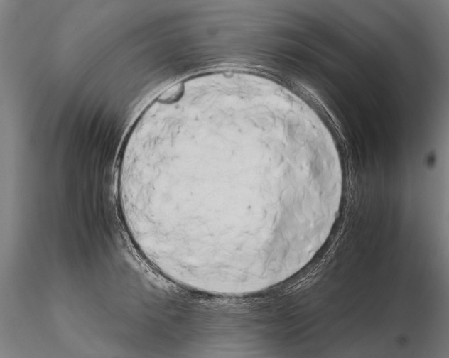 X0000115720900200912101426