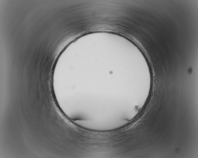 X0000115720901200912101426