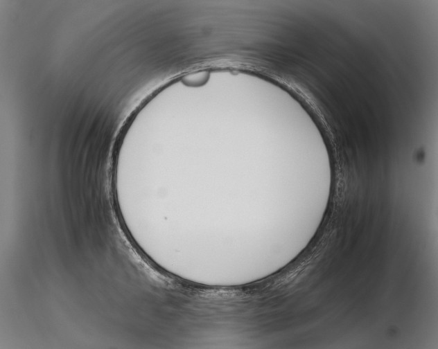 X0000115720902200912101425