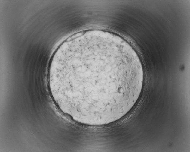 X0000115720904200912101425