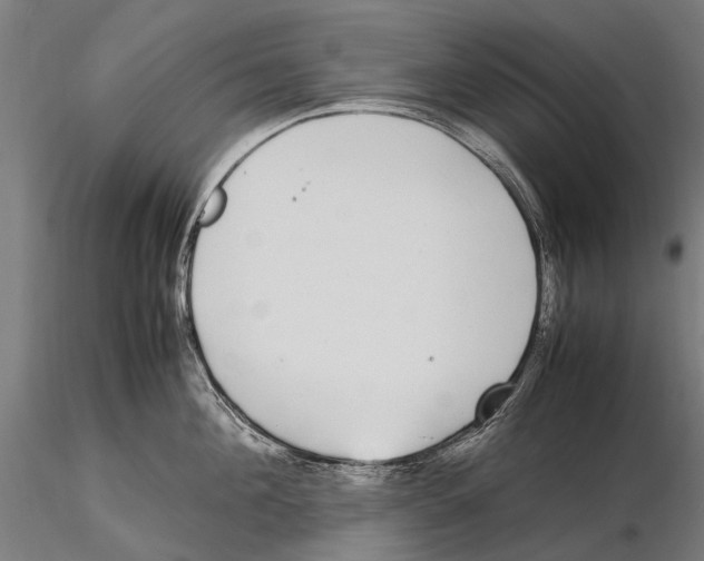 X0000115720908200912101425
