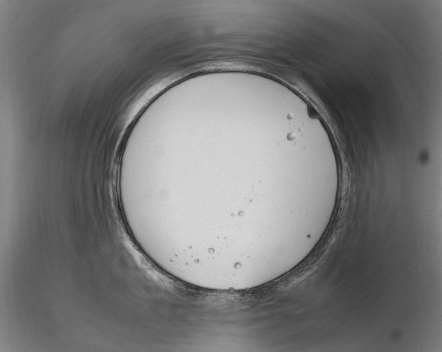 X0000115720909200912101425