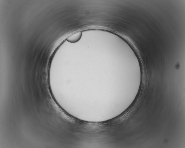X0000115720910200912101425