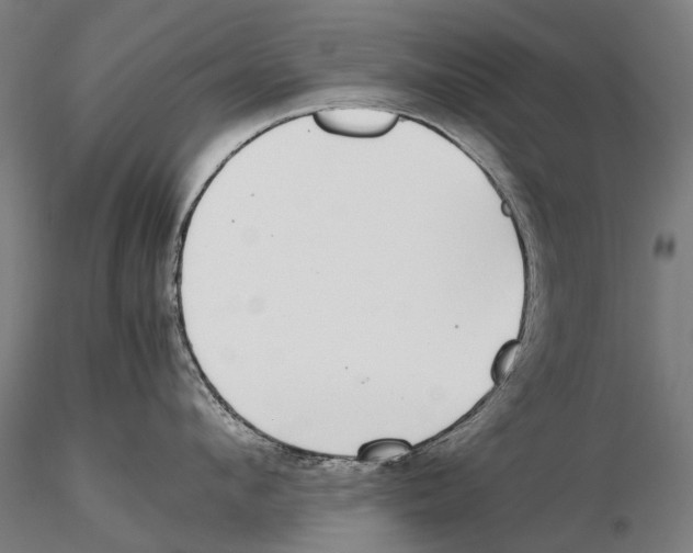 X0000115720912200912101425