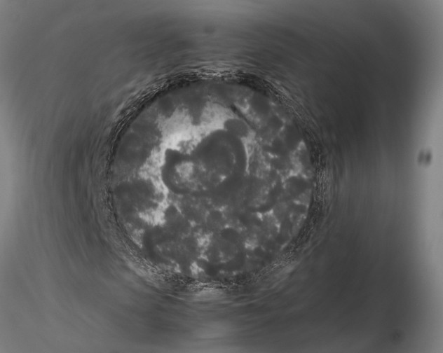 X0000115720913200912101425