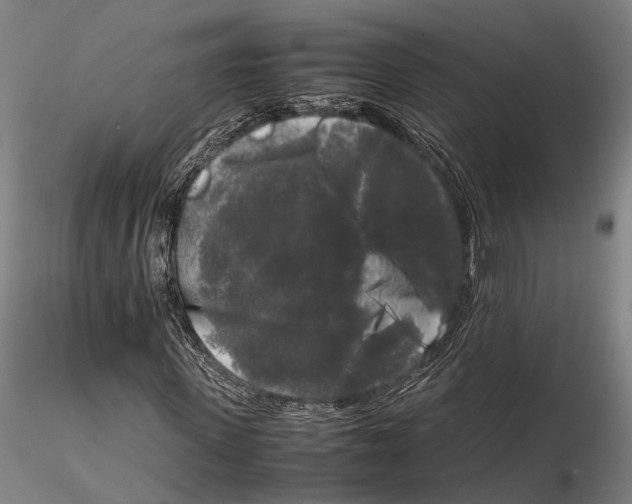X0000115720915200912101425