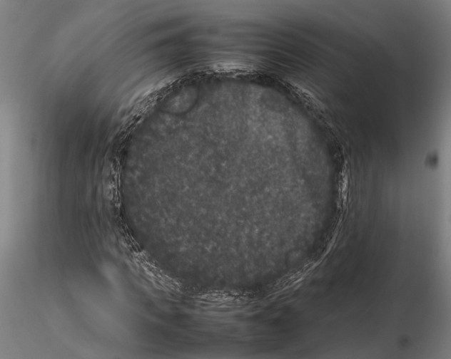 X0000115720917200912101425