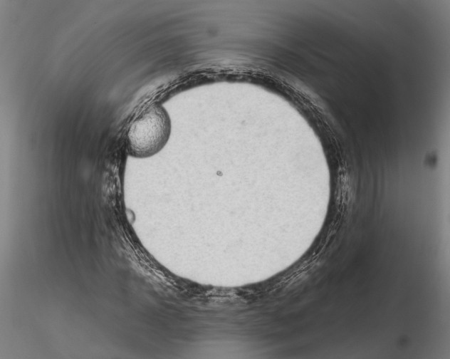 X0000115720918200912101425