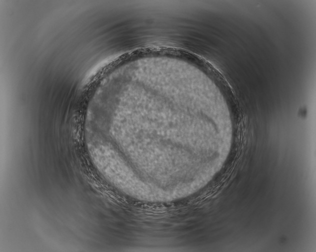 X0000115720919200912101425