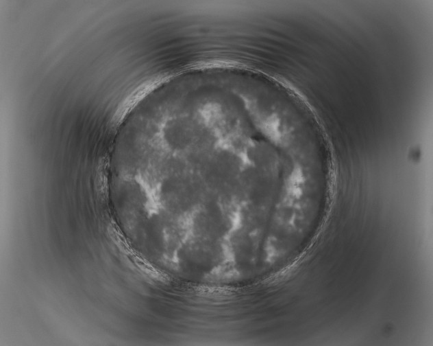 X0000115720921200912101425