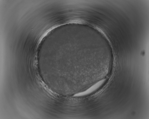 X0000115720923200912101425