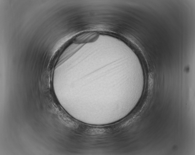 X0000115720925200912101425