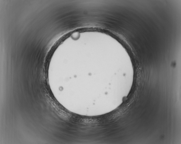 X0000115720927200912101425