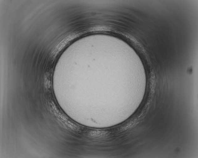 X0000115720929200912101425