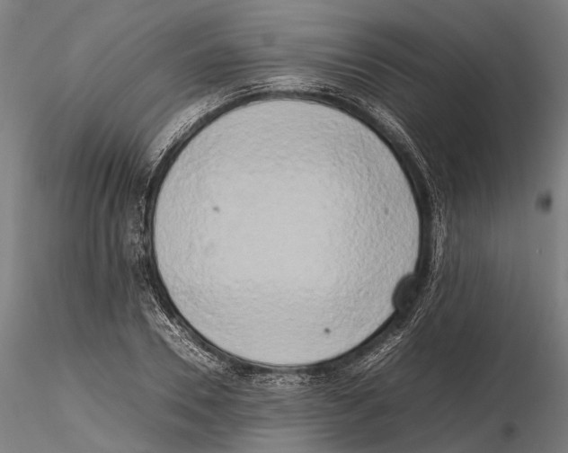 X0000115720930200912101425