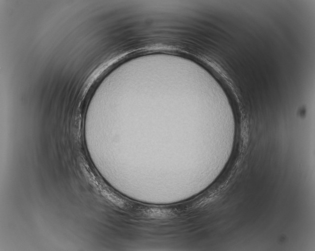 X0000115720933200912101425
