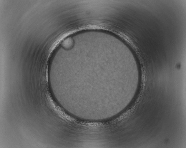 X0000115720934200912101425