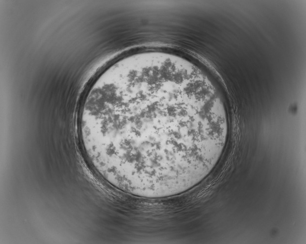 X0000115720935200912101425