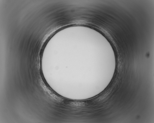 X0000115720939200912101425