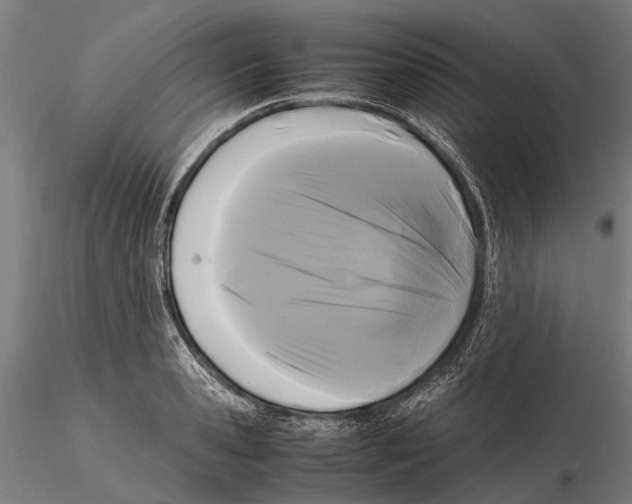 X0000115720941200912101425
