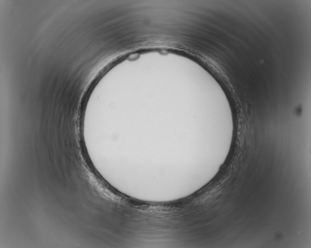 X0000115720942200912101425