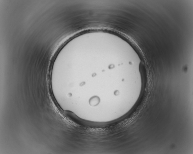 X0000115720943200912101425