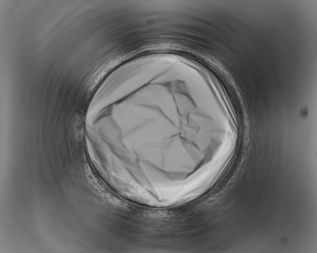 X0000115720945200912101425