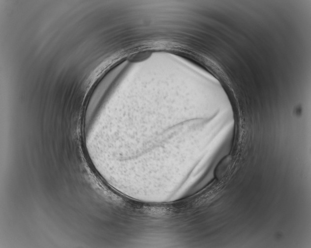 X0000115720946200912101425