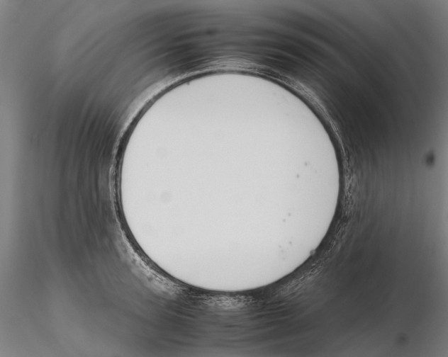 X0000115720947200912101425