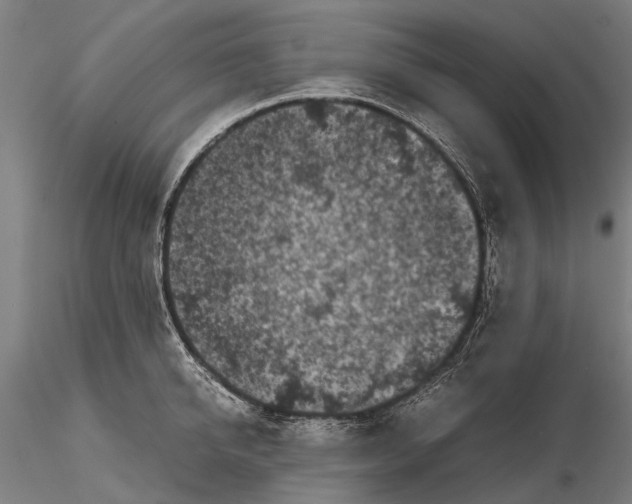 X0000115720950200912101425
