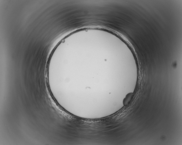 X0000115720951200912101425