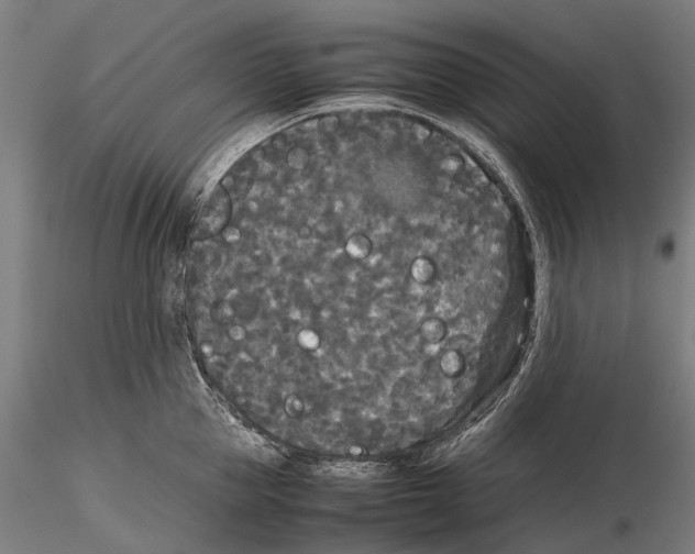 X0000115720953200912101425