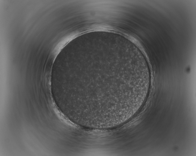 X0000115720954200912101425